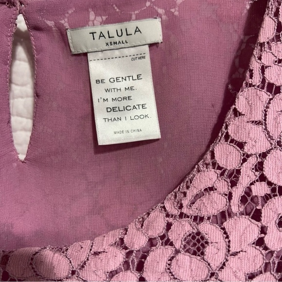 Talula Aritzia Pink Lace Betsy Short Sleeve Lined Blouse, Size- X-Small - Picture 9 of 9
